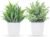Der Rose 2 Pack Small Fake Plants Mini Artificial Potted Plants for Table Desk Home Laundry Room Bathroom Office Decor