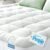 Niagara Sleep Solution Ultra Soft Queen Size Mattress Topper – Rayon Derived fro