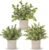 Der Rose 3 Pack Mini Potted Fake Plants Artificial Plastic Eucalyptus Plants Topiaries for Home Office Desk Farmhouse Shelf Room Bathroom Decor(Sage Green)