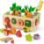 Coogam Montessori Wooden Shape Sorter